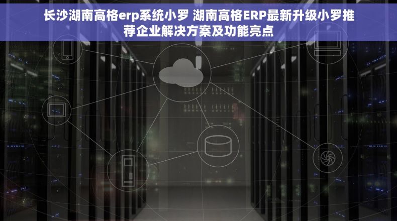 长沙湖南高格erp系统小罗 湖南高格ERP最新升级小罗推荐企业解决方案及功能亮点