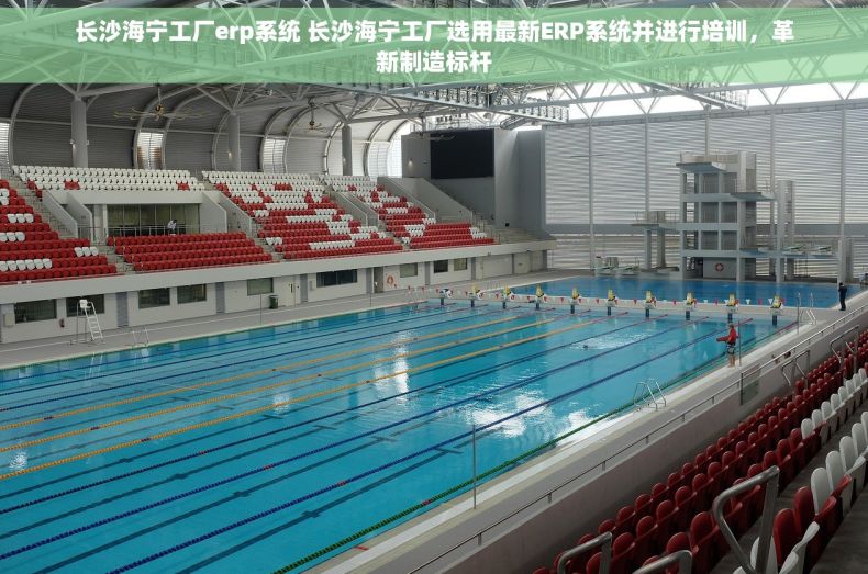 长沙海宁工厂erp系统 长沙海宁工厂选用最新ERP系统并进行培训，革新制造标杆