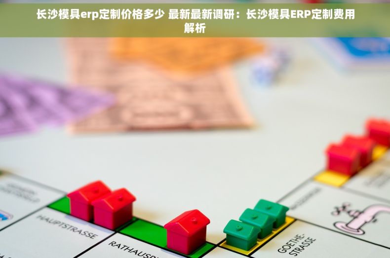 长沙模具erp定制价格多少 最新最新调研：长沙模具ERP定制费用解析