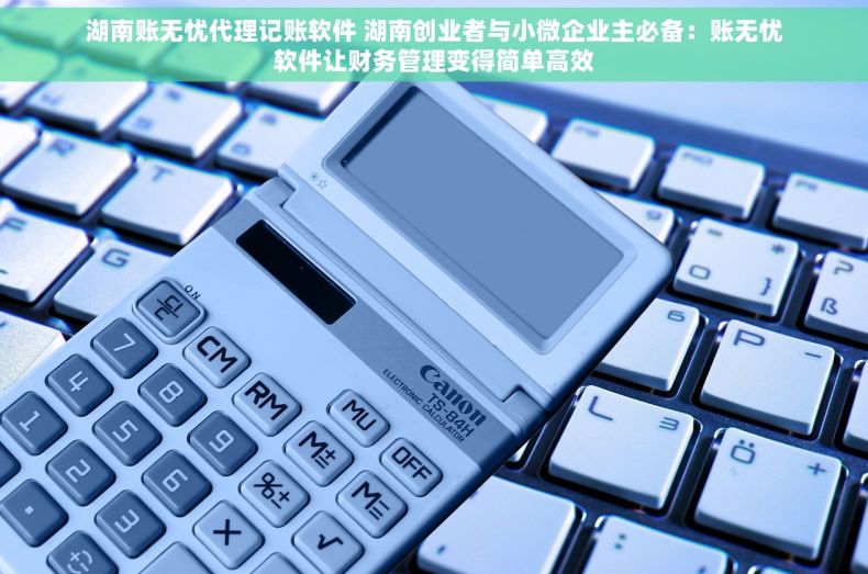 湖南账无忧代理记账软件 湖南创业者与小微企业主必备：账无忧软件让财务管理变得简单高效