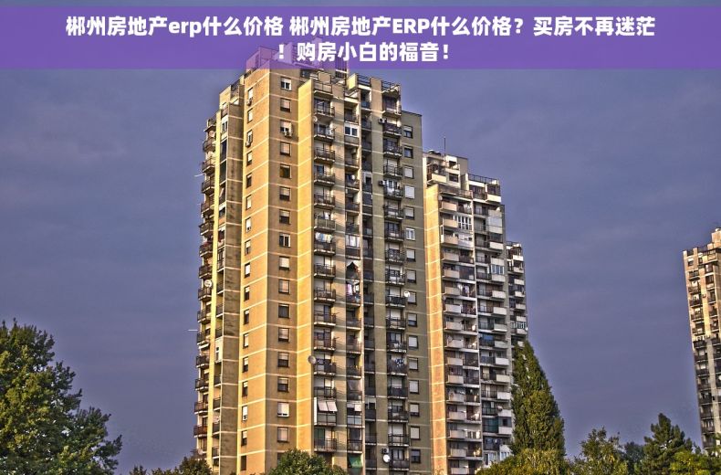 郴州房地产erp什么价格 郴州房地产ERP什么价格？买房不再迷茫！购房小白的福音！