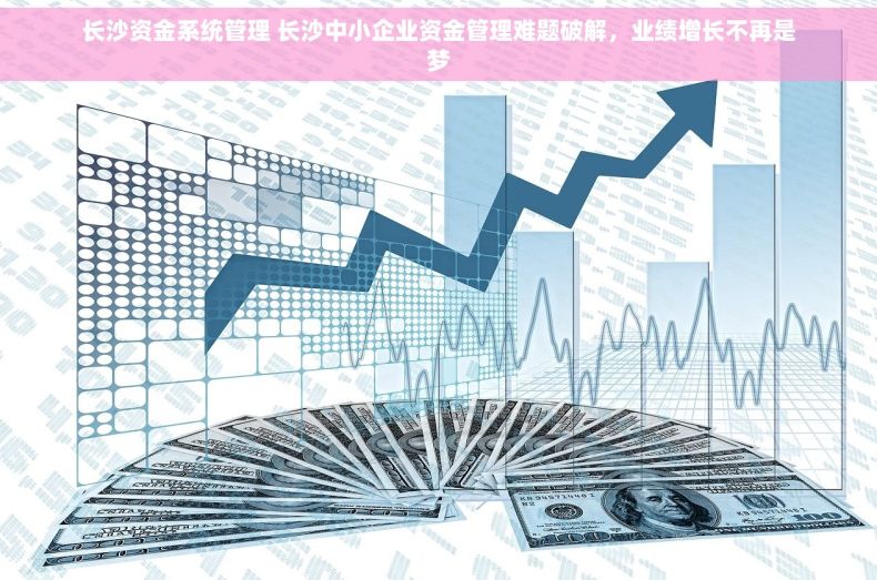 长沙资金系统管理 长沙中小企业资金管理难题破解，业绩增长不再是梦
