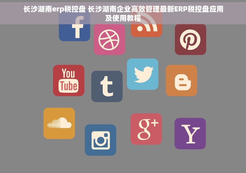 长沙湖南erp税控盘 长沙湖南企业高效管理最新ERP税控盘应用及使用教程