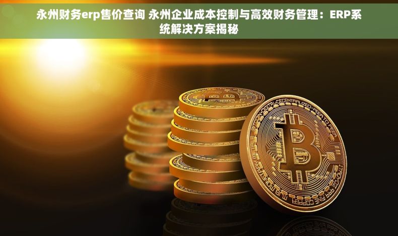 永州财务erp售价查询 永州企业成本控制与高效财务管理：ERP系统解决方案揭秘