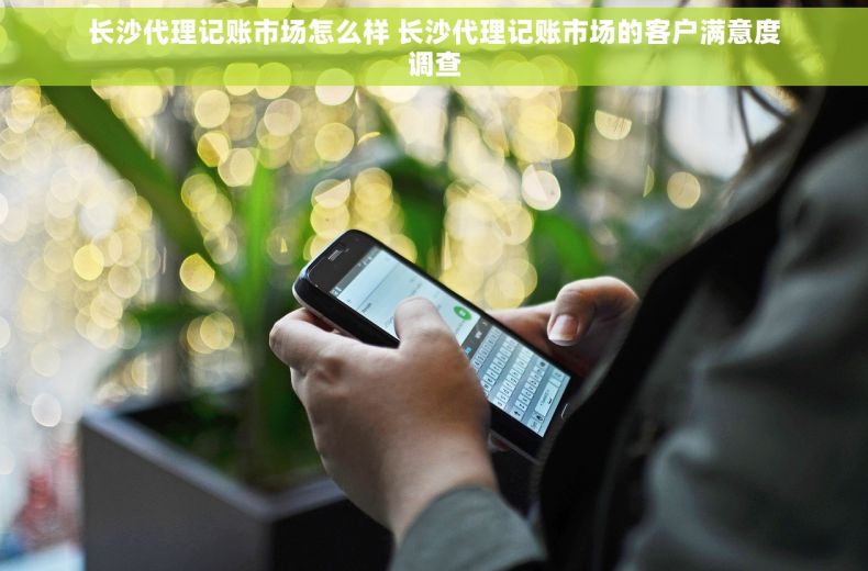 长沙代理记账市场怎么样 长沙代理记账市场的客户满意度调查