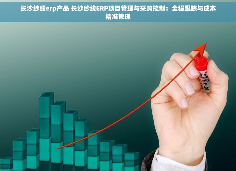 长沙纱线erp产品 长沙纱线ERP项目管理与采购控制：全程跟踪与成本精准管理