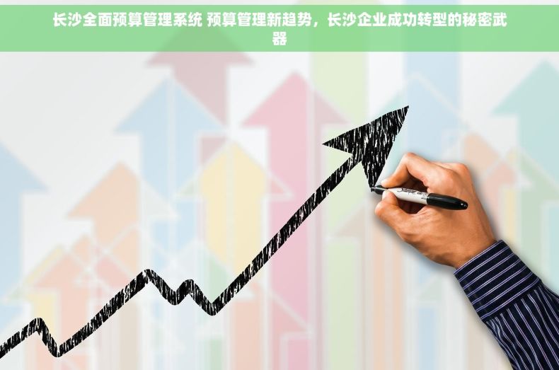 长沙全面预算管理系统 预算管理新趋势，长沙企业成功转型的秘密武器
