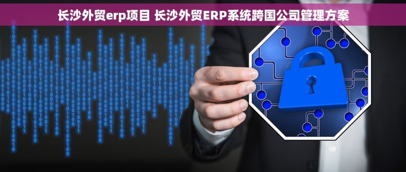 长沙外贸erp项目 长沙外贸ERP系统跨国公司管理方案
