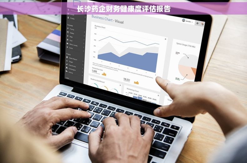 长沙药企财务健康度评估报告