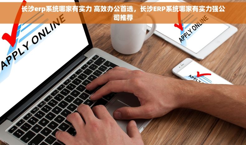 长沙erp系统哪家有实力 高效办公首选，长沙ERP系统哪家有实力强公司推荐