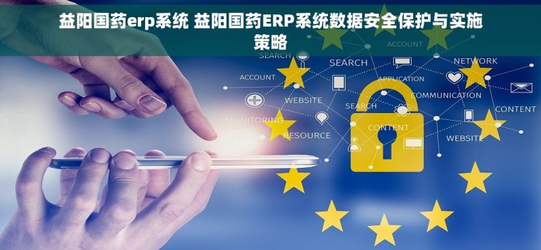 益阳国药erp系统 益阳国药ERP系统数据安全保护与实施策略