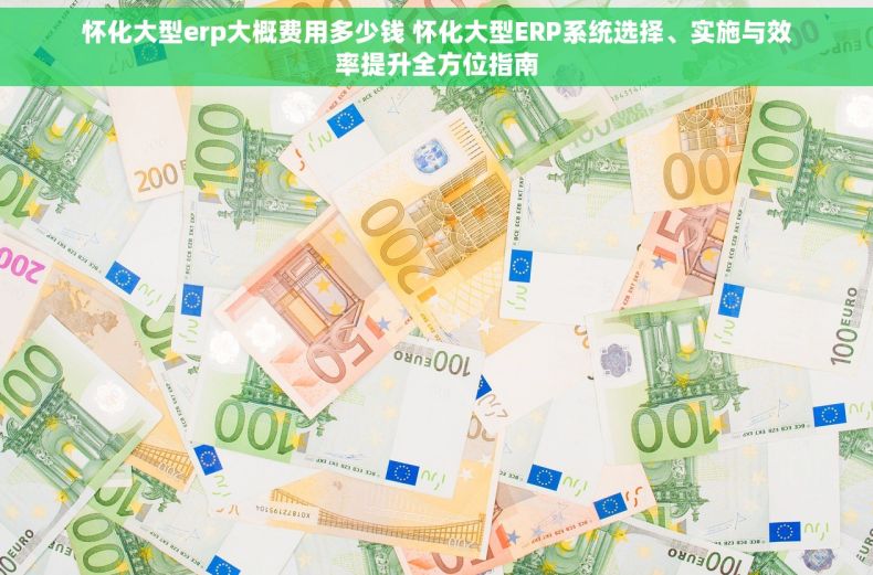 怀化大型erp大概费用多少钱 怀化大型ERP系统选择、实施与效率提升全方位指南
