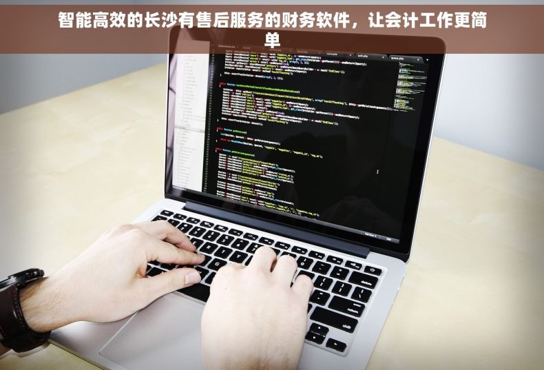 智能高效的长沙有售后服务的财务软件，让会计工作更简单