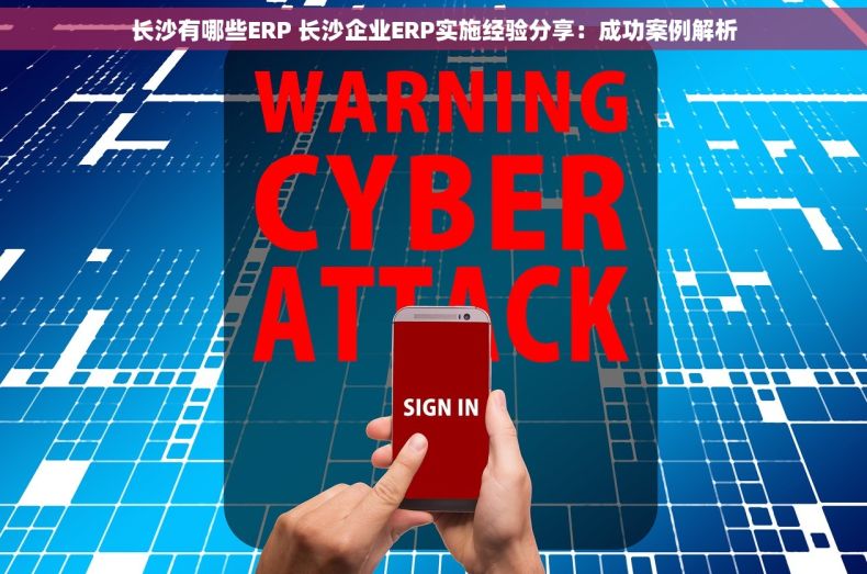 长沙有哪些ERP 长沙企业ERP实施经验分享：成功案例解析