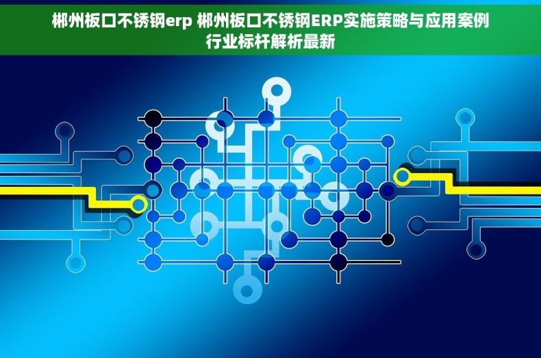 郴州板口不锈钢erp 郴州板口不锈钢ERP实施策略与应用案例行业标杆解析最新