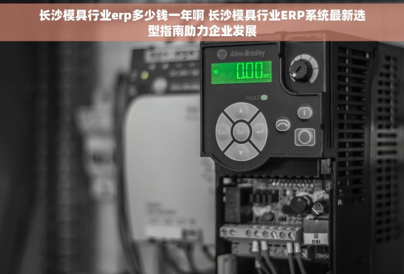 长沙模具行业erp多少钱一年啊 长沙模具行业ERP系统最新选型指南助力企业发展