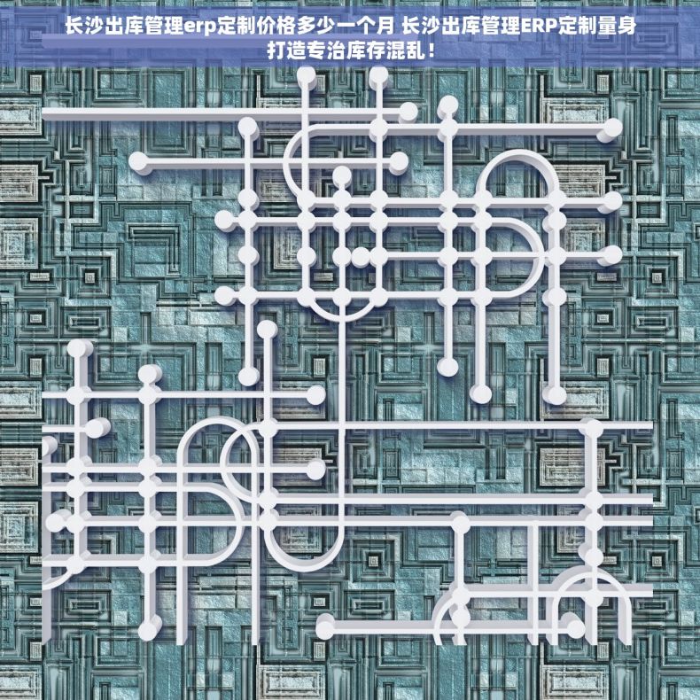 长沙出库管理erp定制价格多少一个月 长沙出库管理ERP定制量身打造专治库存混乱！