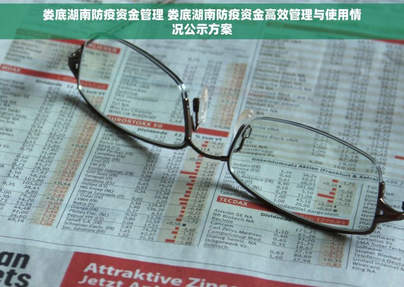 娄底湖南防疫资金管理 娄底湖南防疫资金高效管理与使用情况公示方案