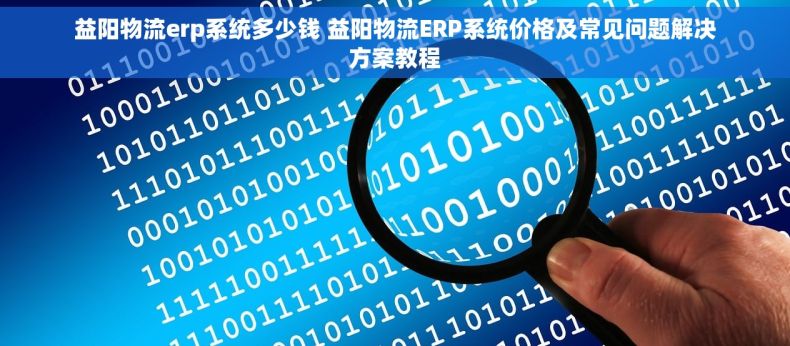 益阳物流erp系统多少钱 益阳物流ERP系统价格及常见问题解决方案教程