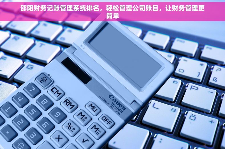 邵阳财务记账管理系统排名，轻松管理公司账目，让财务管理更简单