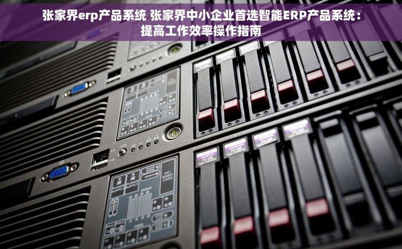 张家界erp产品系统 张家界中小企业首选智能ERP产品系统：提高工作效率操作指南