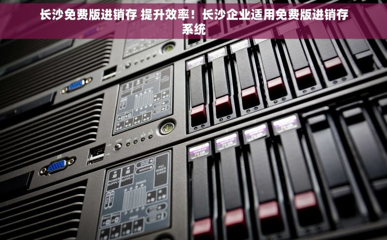 长沙免费版进销存 提升效率！长沙企业适用免费版进销存系统