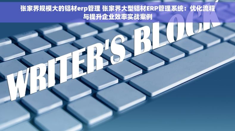 张家界规模大的铝材erp管理 张家界大型铝材ERP管理系统：优化流程与提升企业效率实战案例