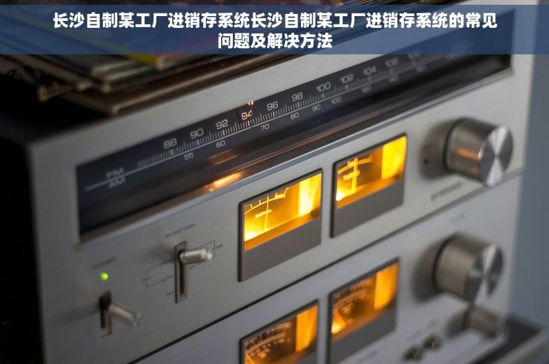 长沙自制某工厂进销存系统长沙自制某工厂进销存系统的常见问题及解决方法