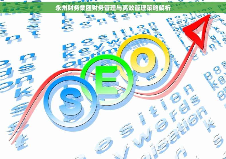 永州财务集团财务管理与高效管理策略解析