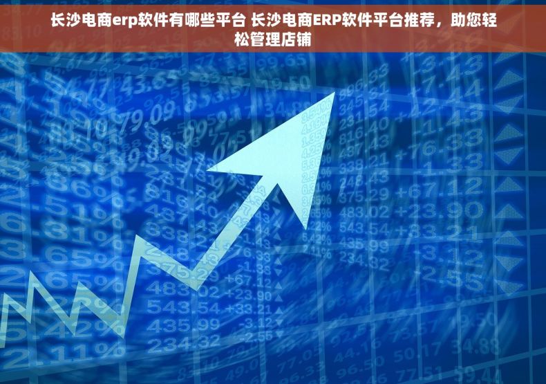 长沙电商erp软件有哪些平台 长沙电商ERP软件平台推荐，助您轻松管理店铺