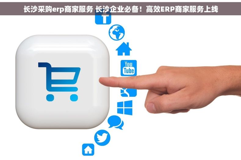 长沙采购erp商家服务 长沙企业必备！高效ERP商家服务上线