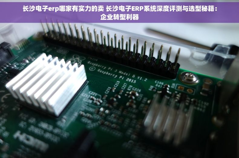 长沙电子erp哪家有实力的卖 长沙电子ERP系统深度评测与选型秘籍：企业转型利器