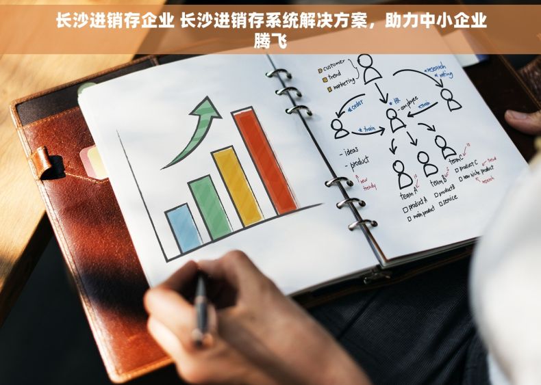 长沙进销存企业 长沙进销存系统解决方案，助力中小企业腾飞