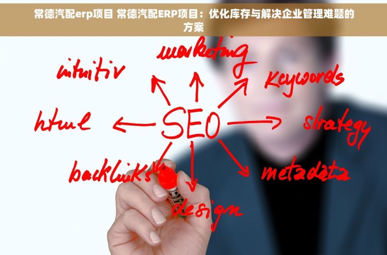 常德汽配erp项目 常德汽配ERP项目：优化库存与解决企业管理难题的方案