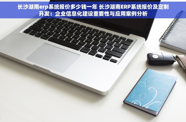 长沙湖南erp系统报价多少钱一年 长沙湖南ERP系统报价及定制开发：企业信息化建设重要性与应用案例分析