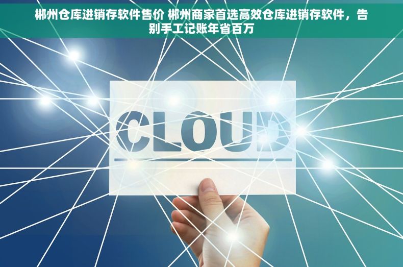 郴州仓库进销存软件售价 郴州商家首选高效仓库进销存软件，告别手工记账年省百万