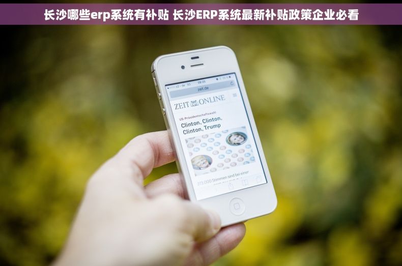 长沙哪些erp系统有补贴 长沙ERP系统最新补贴政策企业必看