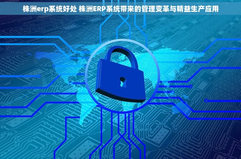 株洲erp系统好处 株洲ERP系统带来的管理变革与精益生产应用