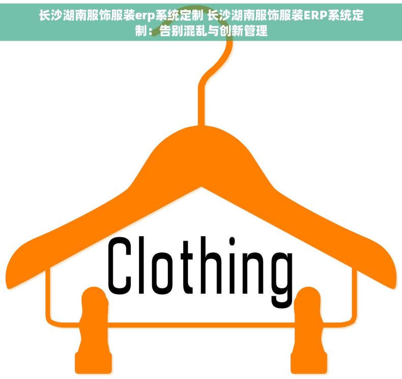 长沙湖南服饰服装erp系统定制 长沙湖南服饰服装ERP系统定制：告别混乱与创新管理