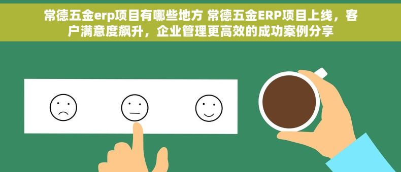 常德五金erp项目有哪些地方 常德五金ERP项目上线，客户满意度飙升，企业管理更高效的成功案例分享