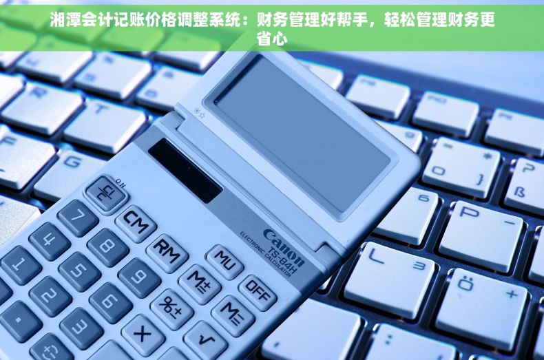 湘潭会计记账价格调整系统：财务管理好帮手，轻松管理财务更省心