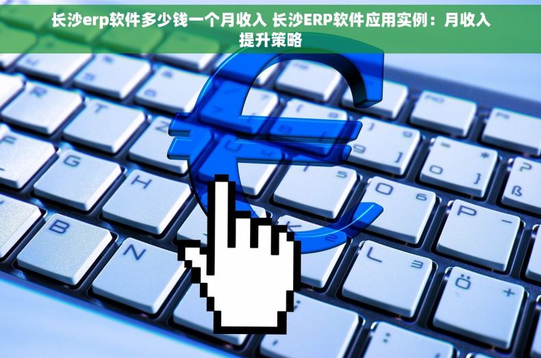 长沙erp软件多少钱一个月收入 长沙ERP软件应用实例：月收入提升策略
