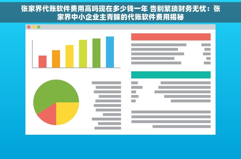 张家界代账软件费用高吗现在多少钱一年 告别繁琐财务无忧：张家界中小企业主青睐的代账软件费用揭秘