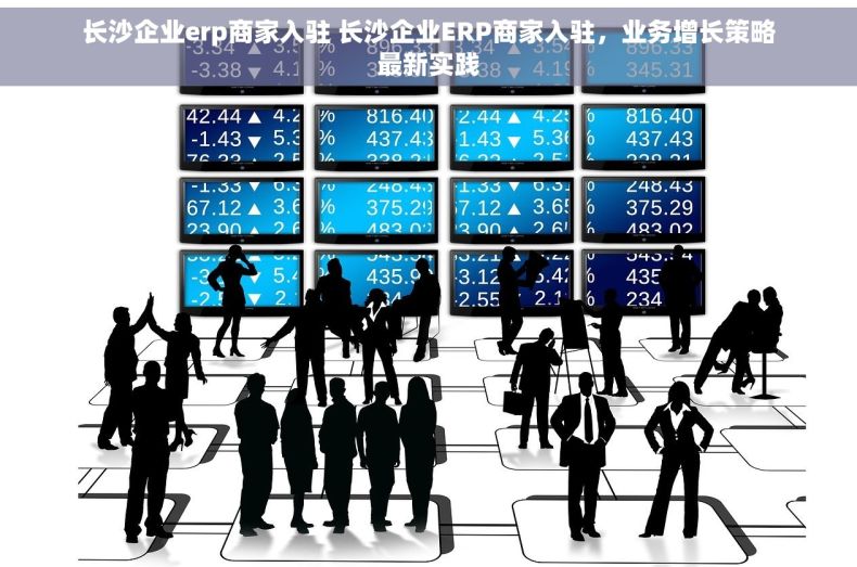 长沙企业erp商家入驻 长沙企业ERP商家入驻，业务增长策略最新实践