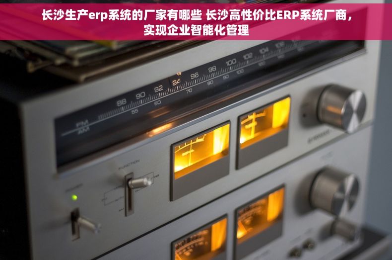 长沙生产erp系统的厂家有哪些 长沙高性价比ERP系统厂商，实现企业智能化管理