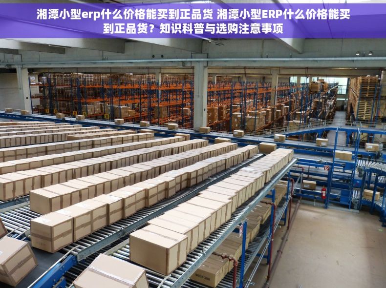 湘潭小型erp什么价格能买到正品货 湘潭小型ERP什么价格能买到正品货？知识科普与选购注意事项
