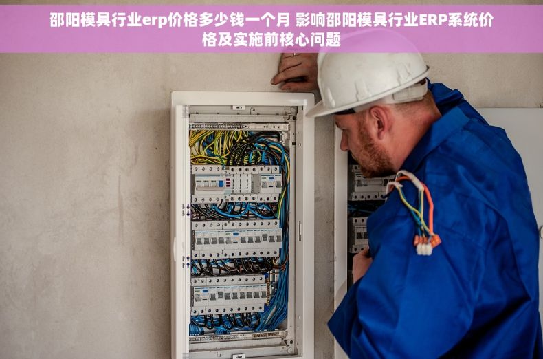 邵阳模具行业erp价格多少钱一个月 影响邵阳模具行业ERP系统价格及实施前核心问题