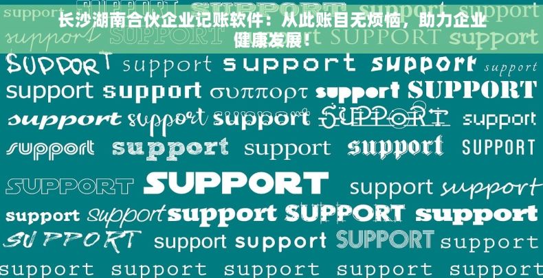 长沙湖南合伙企业记账软件：从此账目无烦恼，助力企业健康发展！