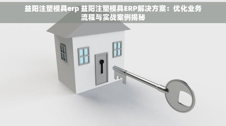 益阳注塑模具erp 益阳注塑模具ERP解决方案：优化业务流程与实战案例揭秘