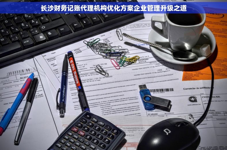 长沙财务记账代理机构优化方案企业管理升级之道